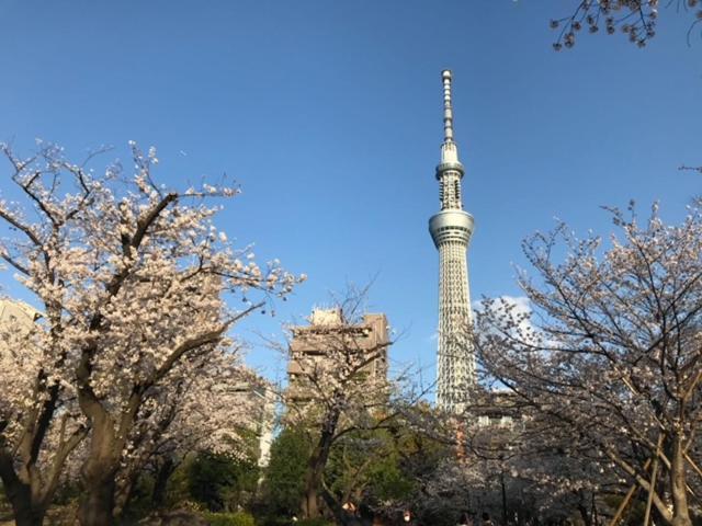 Sky Tree Inn Tokio Buitenkant foto