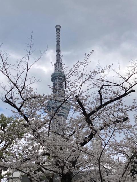 Sky Tree Inn Tokio Buitenkant foto