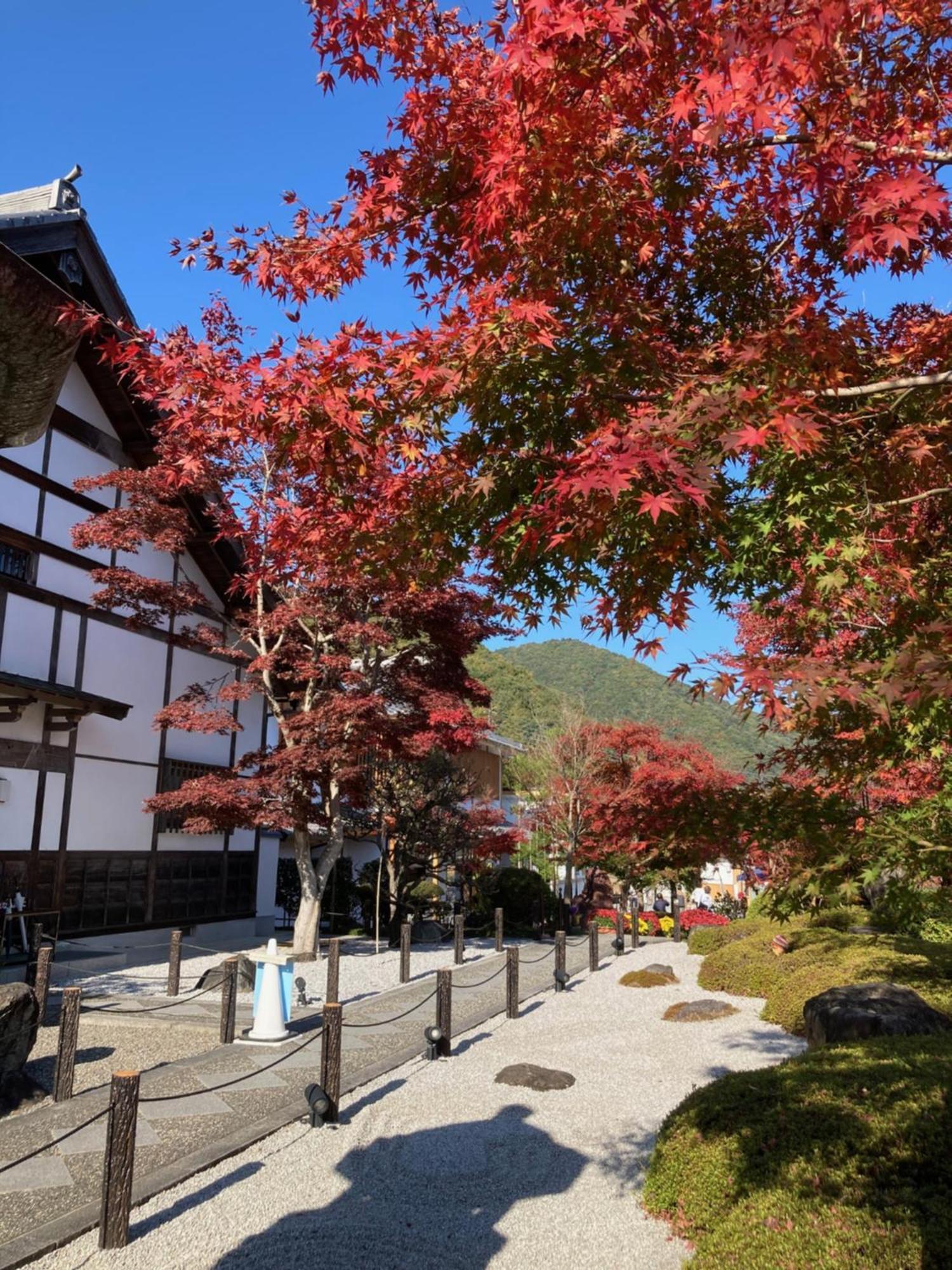 Sky Tree Inn Tokio Buitenkant foto
